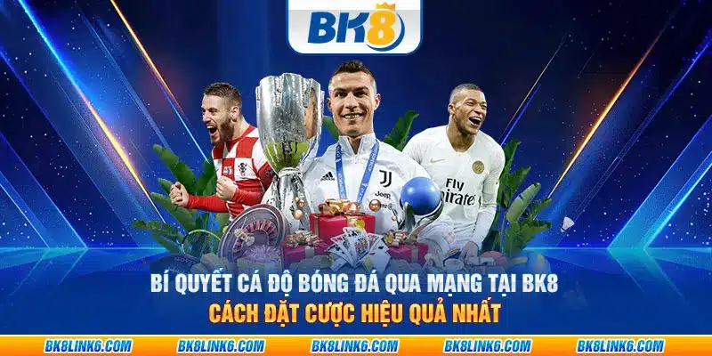 Bí quyết cá độ bóng đá qua mạng tại BK8: Cách đặt cược hiệu quả nhất